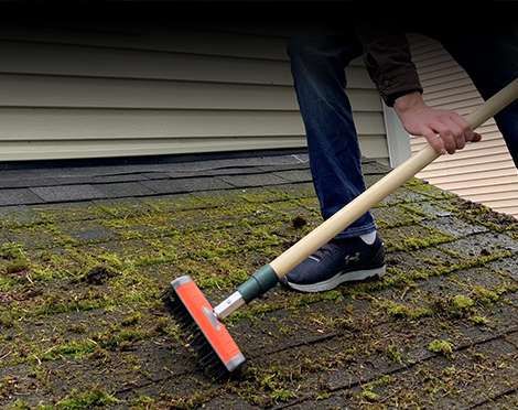 Hardwood-Roof-Brush_8